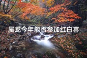 属龙今年能否参加红白喜事—属龙人今年能否参加丧事：禁忌与习俗解析