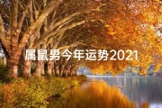 属鼠男今年运势2021-属鼠男人2024年运势详解：财运事业双丰收