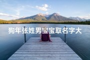 狗年张姓男宝宝取名字大全(《狗年张姓男宝宝名字精选大全，寓意吉祥》)