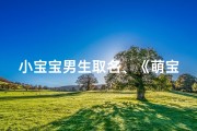 小宝宝男生取名、《萌宝降临：小王子成长记》