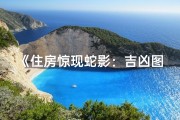 《住房惊现蛇影：吉凶图解揭秘》