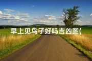早上见鸟子好吗吉凶图(《晨曦鸟语吉凶图：解密见鸟子好吗之谜》)