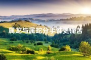 属龙与属蛇分手谁更痛苦些_属龙属蛇分手，谁更心痛？