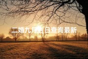 二婚九月吉日查询最新