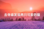 去寺庙发现两只可爱的猫-庙里看到猫吉利吗