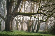 1991年黄道吉日
