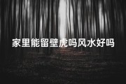 家里能留壁虎吗风水好吗