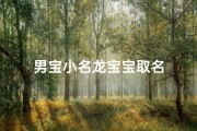 男宝小名龙宝宝取名