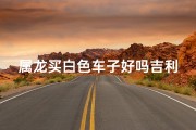 属龙买白色车子好吗吉利吗