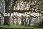 房间能放茶叶吗风水好吗,房间里放茶叶会影响睡眠吗