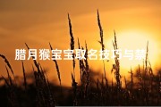 腊月猴宝宝取名技巧与禁忌，吉祥名字推荐及文化解析