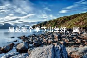 属龙哪个季节出生好、属龙哪个季节出生更吉祥？揭秘最佳生育季节