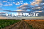室内能吗,客厅风水适宜吗？家居布局指南