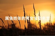 属兔姓张的男宝宝取名怎么取—张姓属兔微信头像带文字