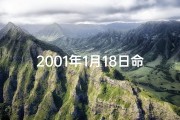 2001年1月18日命格,2001年1月18日是什么命