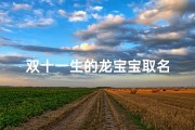 双十一生的龙宝宝取名