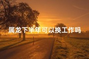 属龙下半年可以换工作吗