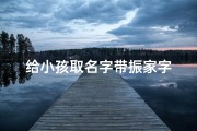给小孩取名字带振家字