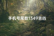 手机号尾数1349吉凶,手机尾号1341
