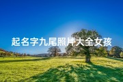 起名字九尾照片大全女孩(好听的九尾狐的名字)