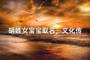 胡姓女宝宝取名，文化传承与现代审美的完美结合