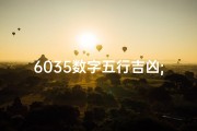 6035数字五行吉凶;《6035数字五行揭秘：吉凶运势大解析》