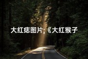 大红痣图片;《大红猴子吉凶图解大全集：揭秘运势奥秘》