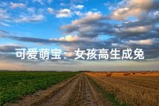 可爱萌宝：女孩高生成兔宝宝取名指南
