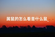 属鼠的怎么看是什么鼠_属鼠的你，究竟是什么鼠？