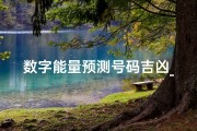 数字能量预测号码吉凶_《揭秘数字能量吉凶：一测便知运势好坏》