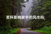 奖杯影响家中的风水吗;《奖杯摆放影响家居风水之谜》