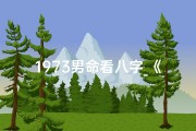 1973男命看八字_《1973年男命八字解析：揭秘命运之谜》