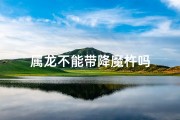 属龙不能带降魔杵吗