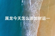 属龙今天怎么添加财运—属龙今日如何轻松招财？