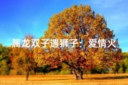 属龙双子遇狮子：爱情火花碰撞？