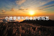 小孩爸爸叫桐林好听吗怎么取名—《桐林爸爸，好听的名字，如何为孩子取名？》