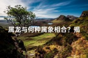 属龙与何种属象相合？揭秘最佳伴侣