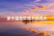 家中适合放桃木吗风水