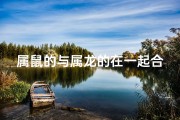 属鼠的与属龙的在一起合适吗-属鼠属龙情谊长，龙腾鼠跃共前行