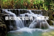 蔡和陆宝宝取名：传承家风，智慧启航