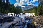 属龙2021年的多大