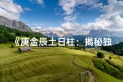 《庚金辰土日柱：揭秘独特命格之谜》