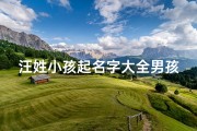 汪姓小孩起名字大全男孩