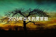 2026年出生的男婴取名指南，羊宝宝吉祥命名技巧解析