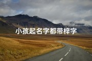 小孩起名字都带梓字