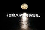 《男命八字食神伤官旺，运势解析与人生启示》