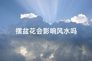 摆盆花会影响风水吗