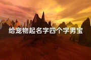 给宠物起名字四个字男宝宝(宠物猫名字可爱洋气)