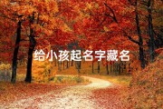 给小孩起名字藏名