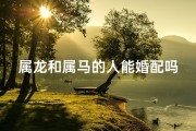 属龙和属马的人能婚配吗